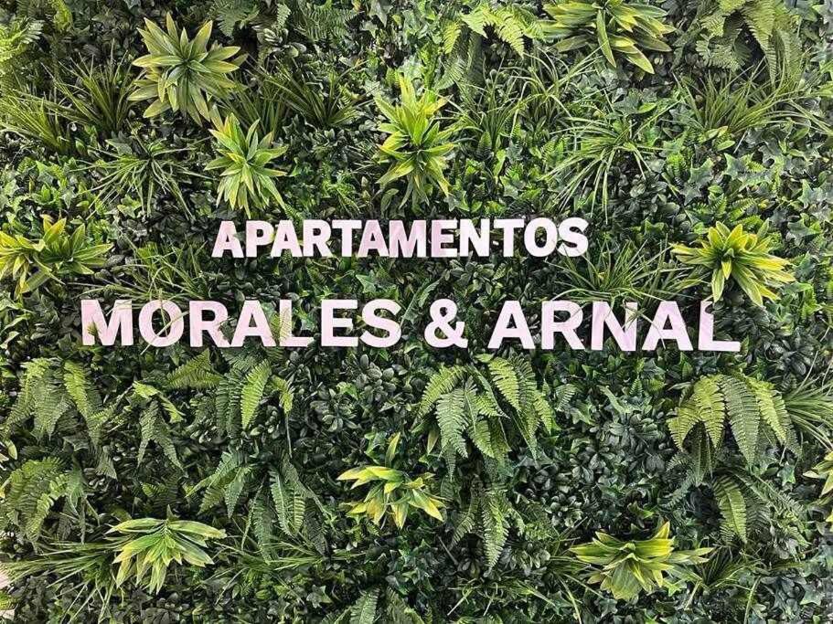 XVIII B Suite Apartamentos Morales & Arnal Ronda Dış mekan fotoğraf
